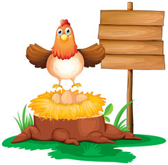 Wall Mural - A chicken with a nest above a trunk near a signage