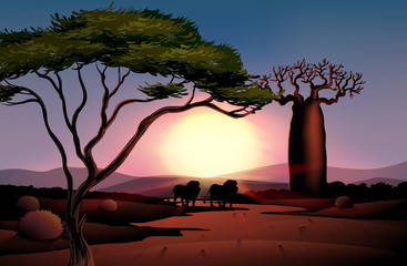 Wall Mural - The desert with a sunset view