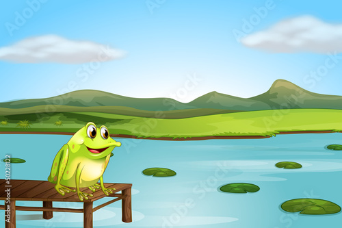 Tapeta ścienna Żaba nad drewnianym mostem