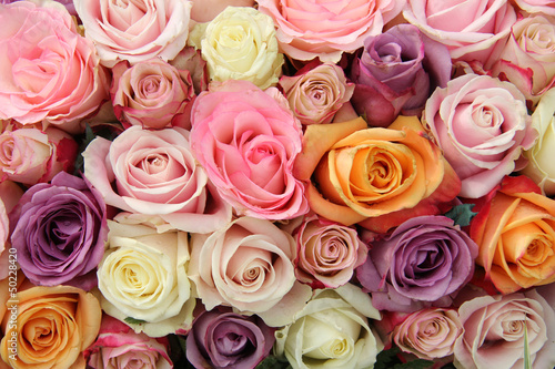 Obraz w ramie Mixed pastel roses