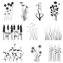 Wall Mural - collection for designers, plant vector