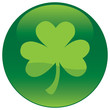 Shamrock with tree leaf icon - Vector file