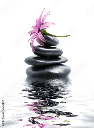 Dekoracja na wymiar  zen-spa-kamienie-z-fioletowym-kwiatem