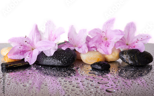 Naklejka na kafelki Pink flowers and black stones