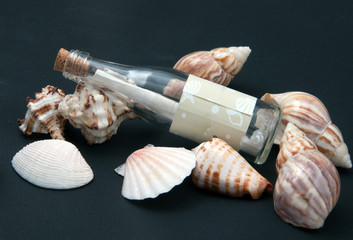 seashells and bottle with message in it