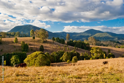 Naklejka samoprzylepna Nimbin, australia, wiejski krajobraz