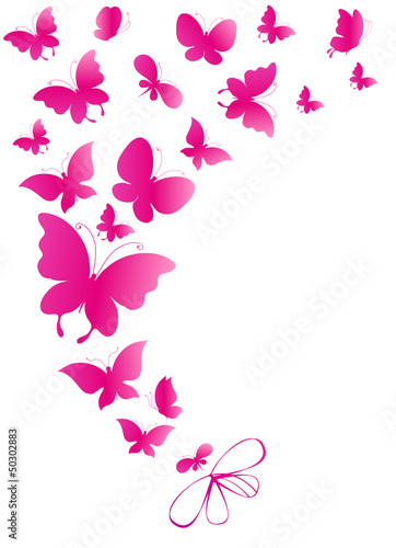 Tapeta ścienna na wymiar butterfly,butterflies vector