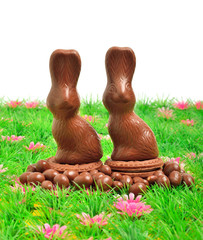 Easter chocolate bunnies on the green grass