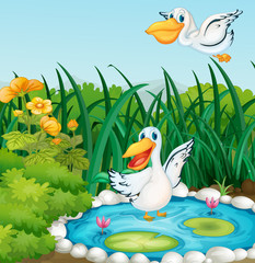 Wall Mural - A pond with ducks