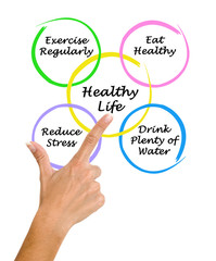 Canvas Print - Diagram of healthy life