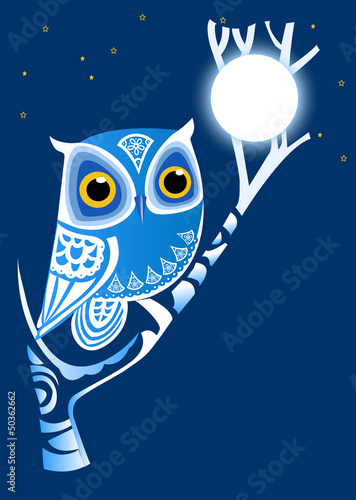Plakat na papierze fotorealistycznym Nocna sowa