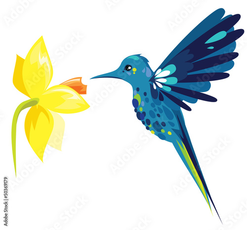 Board z aluminiowym obramowaniem Colibri