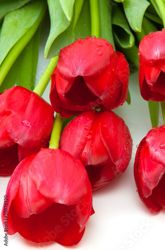 Tapeta ścienna Bukiet czerwonych tulipanów.