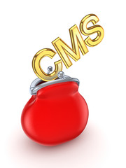 Sticker - CMS concept.