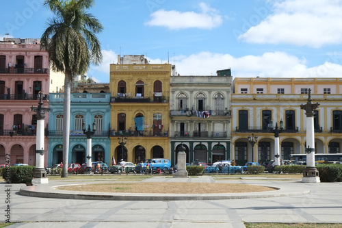 Obraz w ramie facades et palmier