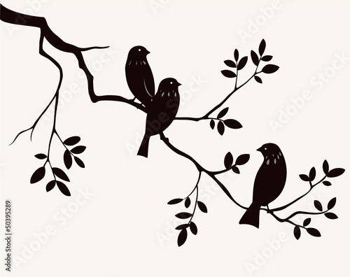 Fototapeta na wymiar Birds on twig
