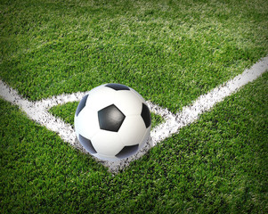 Wall Mural - Soccer football field stadium grass line