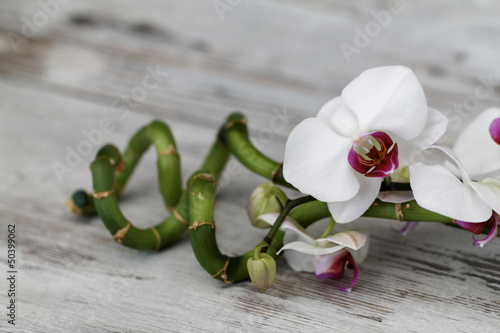 Naklejka na kafelki Orchidee mit Bambus