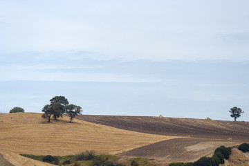 Panoramic views of the country in Apulia Italy