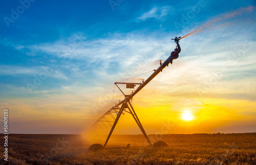 Cuadros en Lienzo Irrigation pivot on the wheat field at summer sunrise