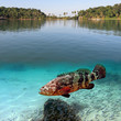 Tropical paradise and giant grouper