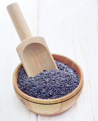 Poster - poppy seeds