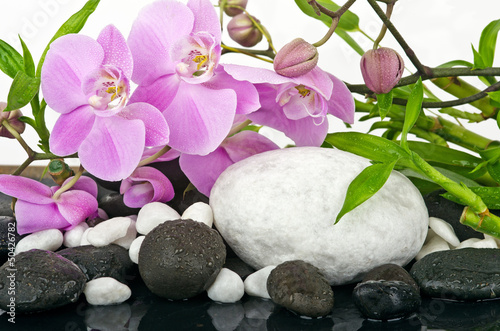 Tapeta ścienna Koncepcja wellness: orchidee, bambus, kamień, woda