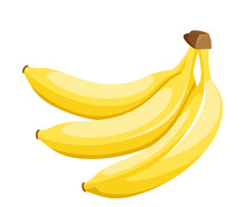 Bunch Of Bananas Isolated On White. Vector Illustration.