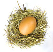 Jajko w gnieździe
