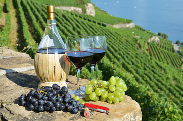 Sticker - Wine on the terrace vineyard in Lavaux region, Switzerland