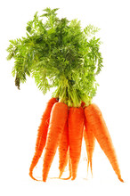 Fresh Carrots Bunch Isolated On Whiet Background