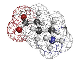 Poster - gamma-aminobutyric (GABA) neurotransmitter, molecular model