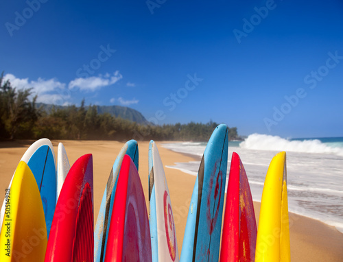 Fotoboard na płycie Deski surfingowe w Lumahai Beach Kauai