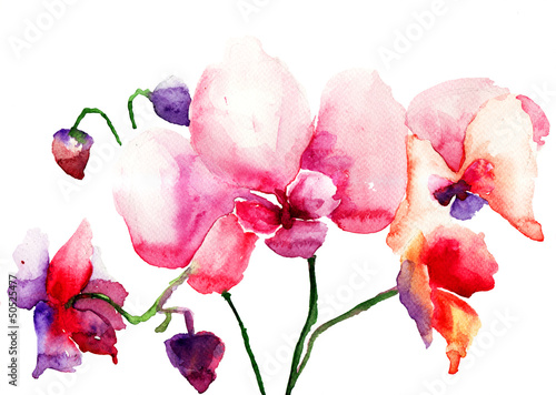 Naklejka na kafelki Pink orchids flowers