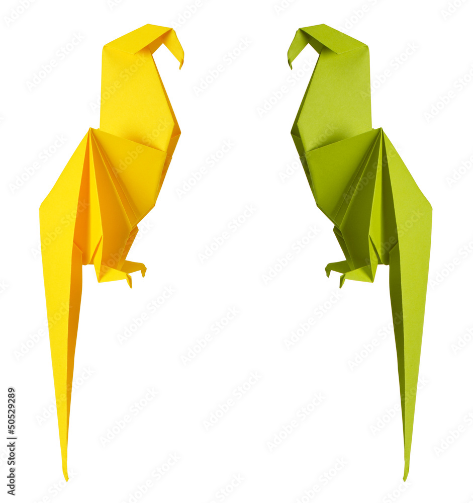 origami parrot - obrazy, fototapety, plakaty 