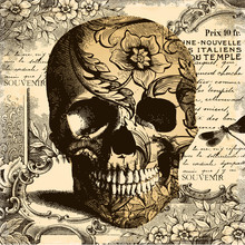 Vintage Skull Background