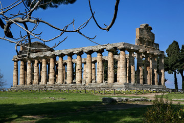 Wall Mural - paestum