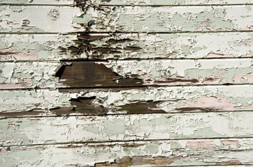 Painted peeling wooden panels texture