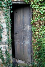 Old Open Wooden Door Overgrown With Ivy