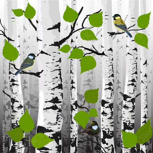 Obraz w ramie In the forest, the birds on the trees, vector