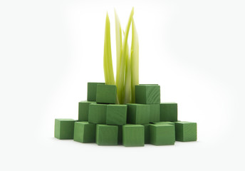 Green living concept green sprouts growing out of green cubes