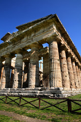 Wall Mural - paestum