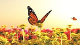 Fototapeta  - Spring butterfly