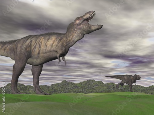 Naklejka samoprzylepna Tyrannosaurus krzyczy przy inny - 3d odpłacają się