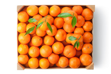 Crate of ripe tangerines. Top view.