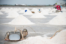 Salt Pan Harvest