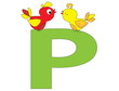 Litera P i ptaki