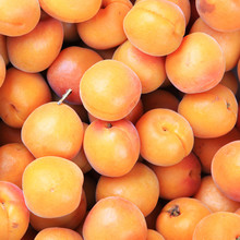 Ripe Fresh Peaches (Prunus Mume Or Japanese Apricot)