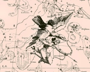 Canvas Print - constellation vintage map