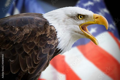 Obraz na płótnie canvas Piękny bielik z tłem flagi USA